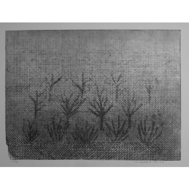 obrázek Marie Blabolilová - Stromy v mlze