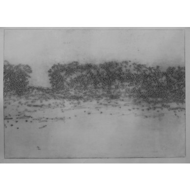 obrázek Alena Kučerová - Stromoví na louce